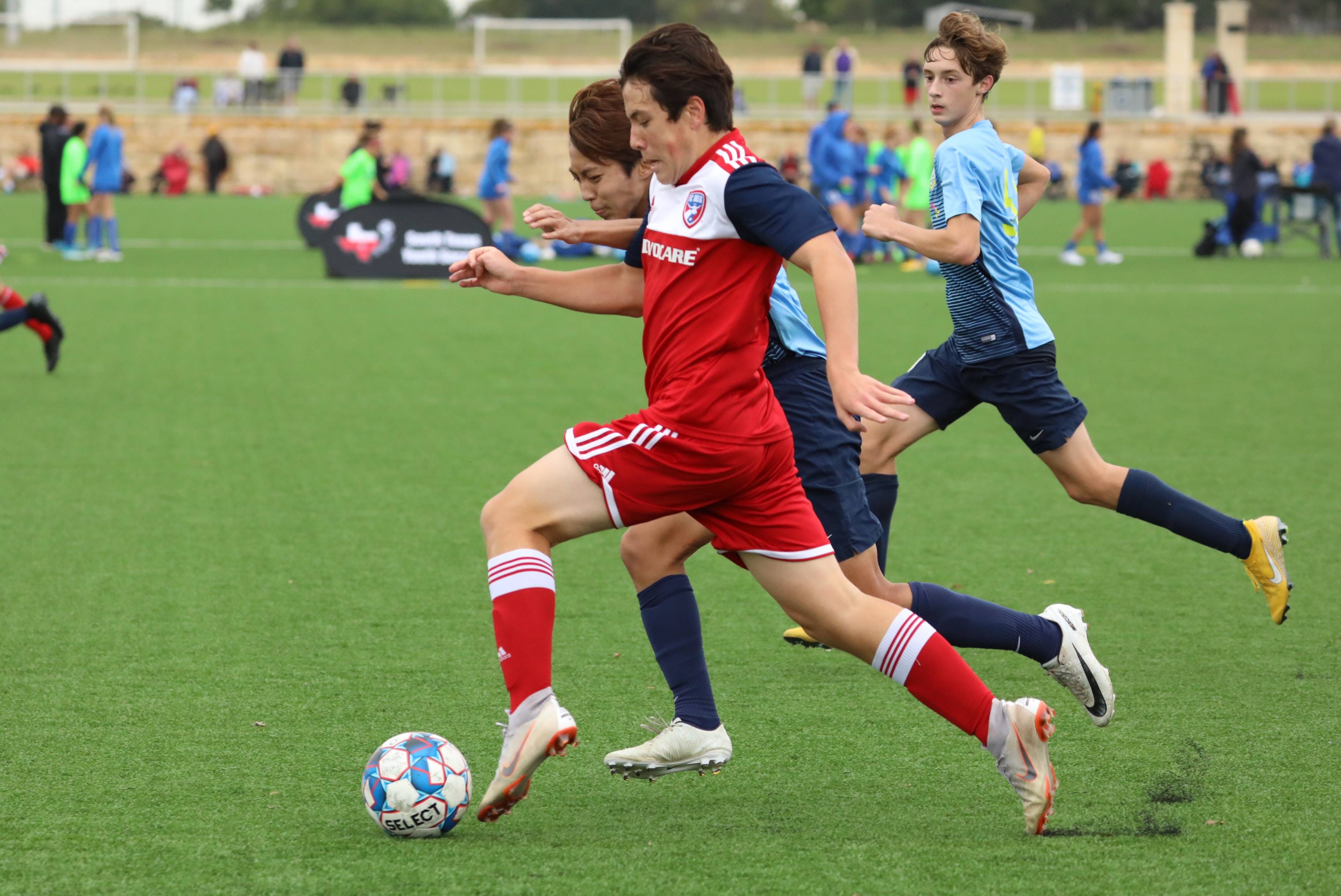 这一抉择都 这一抉择都