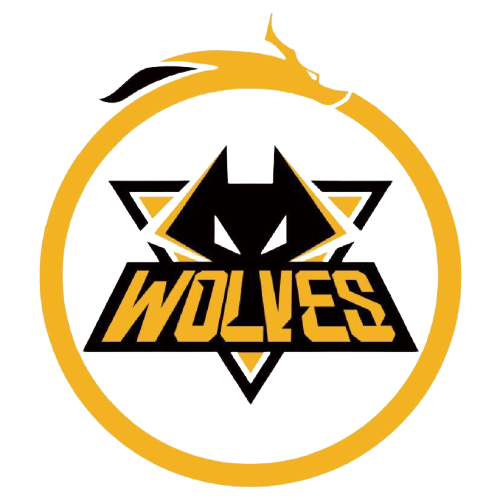 表现出不俗 表现出不俗